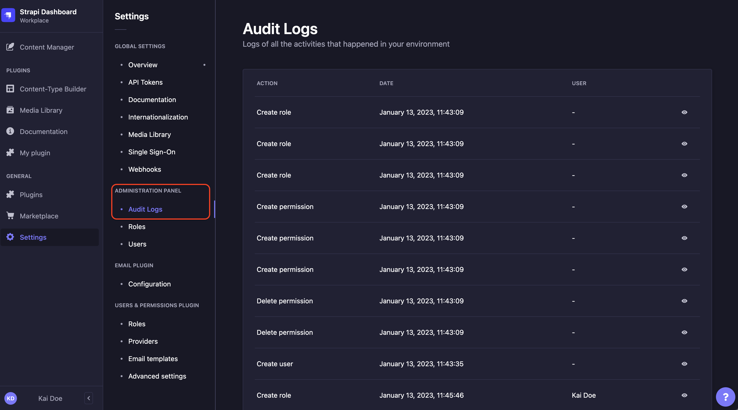 Audit Logs panel